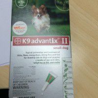 K9 advantix