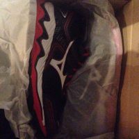 Mizuno